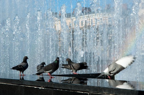 fountain-3390910_960_720
