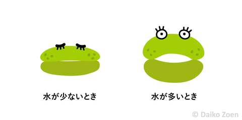 気孔の開閉2