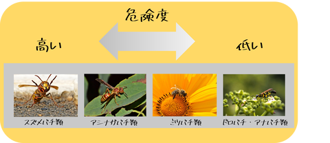 ハチ　危険度