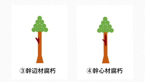 腐朽　（半分2）