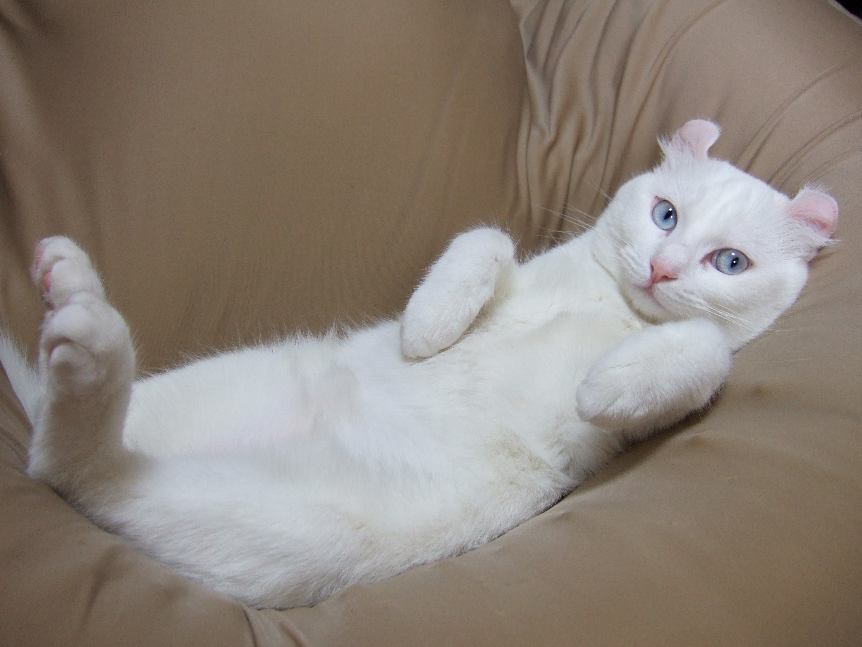 ブログ二日目です すんげろよんではありません