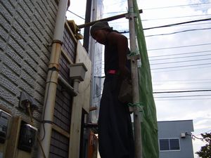 14f00725.jpg