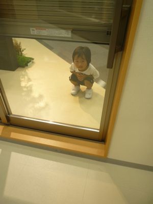 f1764302.jpg