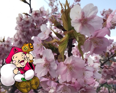 新年度スタート!!衣替えスタート♬