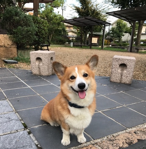 休日の朝 青空太陽の光を浴びてパワー全快!