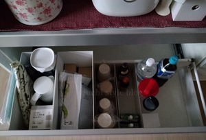 1000006491-fotor-20260308144741