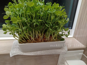 1000006262-fotor-20260211191617