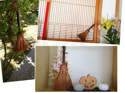 collage-1697169046051-fotor-20231013125624