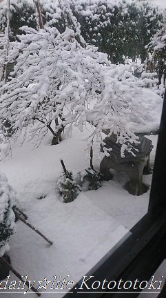 雪DSC_1123
