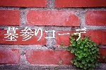 IMG_16420_s