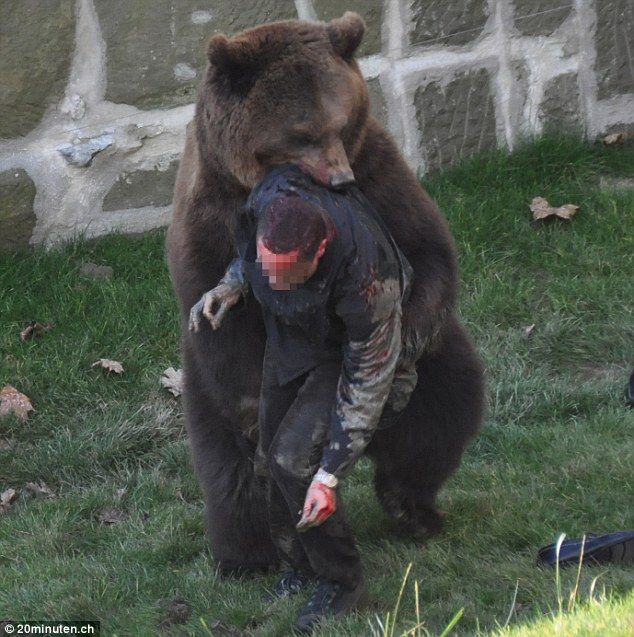 秋田 逃げた6頭はすべて射殺 クマ牧場で襲われ2人死亡 2 今日のニュース速報日記 秋田 逃げた6頭はすべて射殺 クマ牧場で襲われ2人死亡 2 今日のニュース速報日記