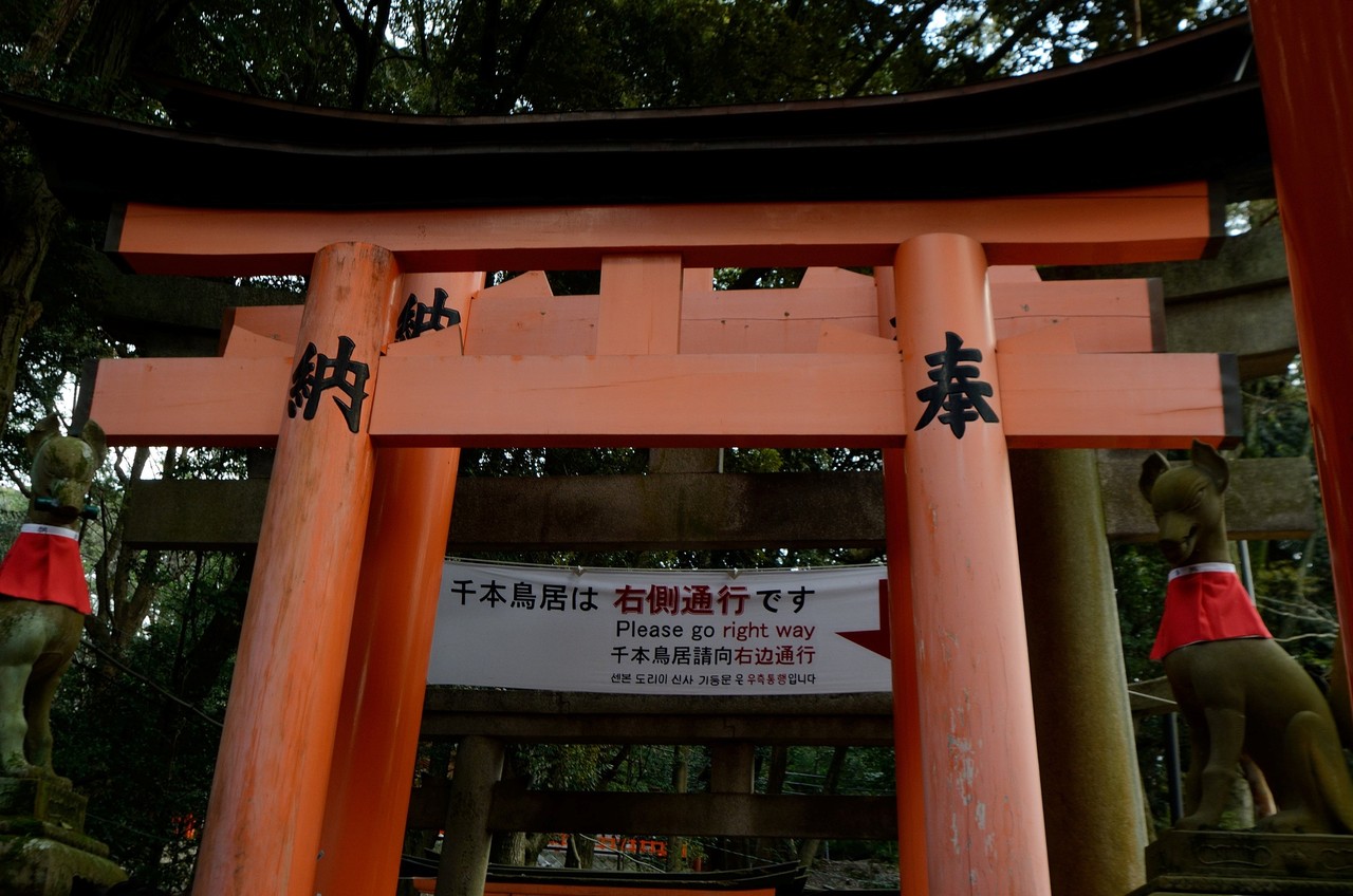 伏見稲荷大社 その弐 No Photo No Life