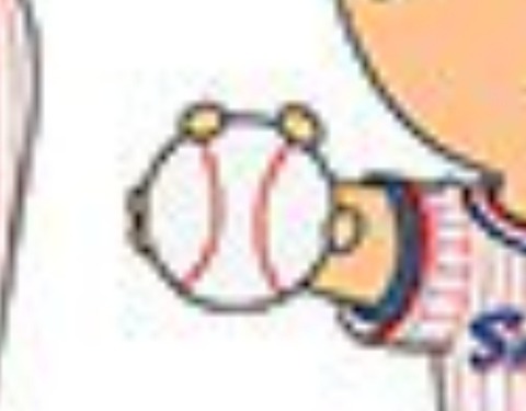 Screenshot_20190618-122141_Twitter