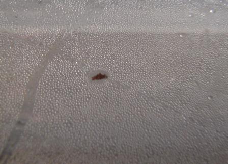 09年01月10日 大文字山を食べる