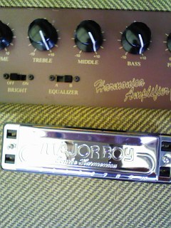 メンバー紹介しようかい その８ ゴーゴーブルースハープ 隣の芝生