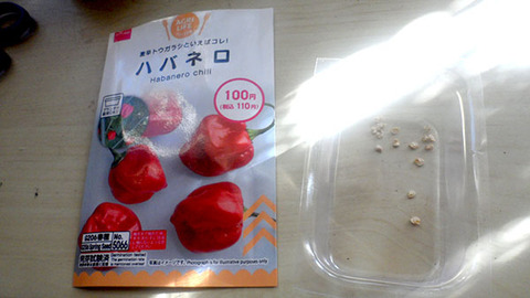 haba-002