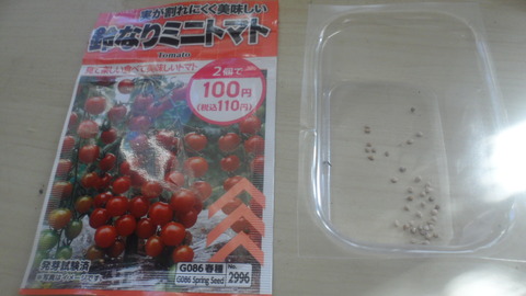 SAM_8177