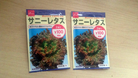 サニーレタス-001