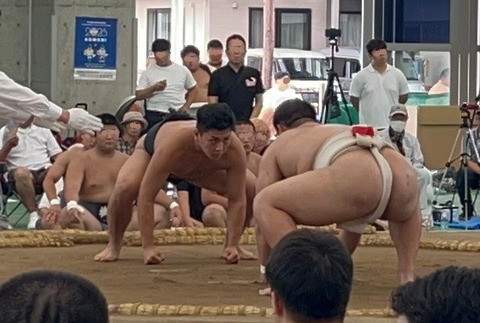 阿保2