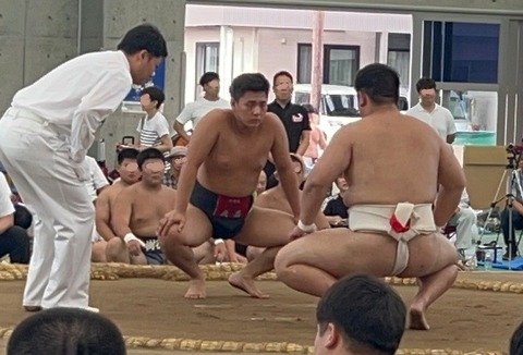 阿保1
