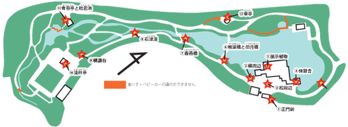 kokoshirumap