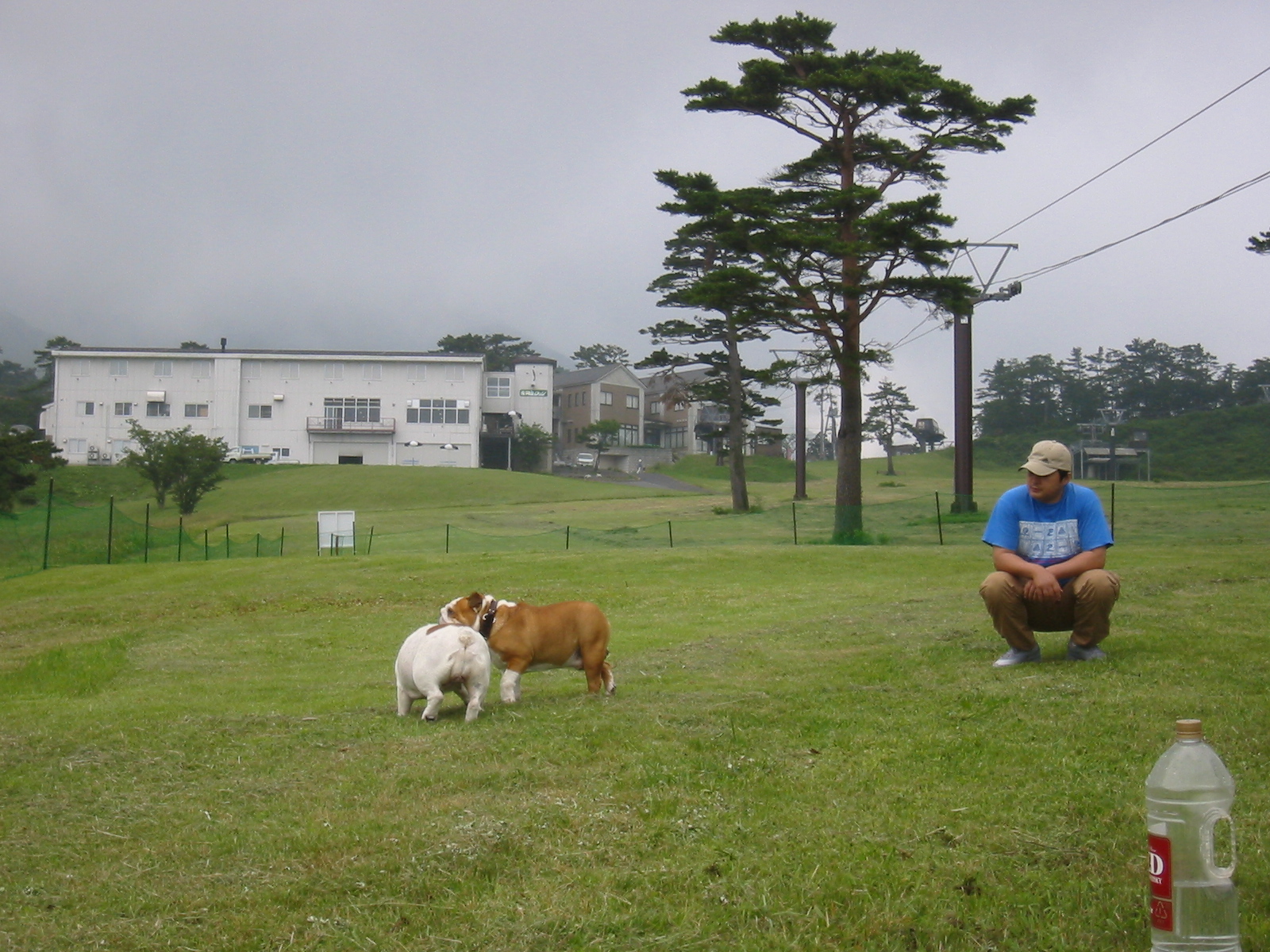 大好きなワンちゃんと一緒に 大山高原 豪円山 上の原 ジンギスカン 得々情報ガイド