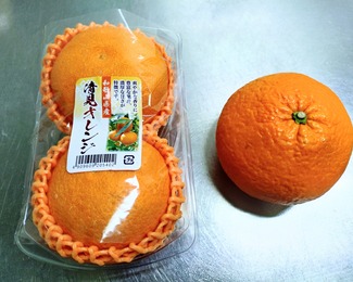 IMG_20260413_191704_(1500_x_1200_ピクセル)