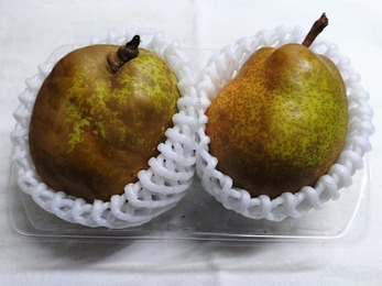 IMG_20251108_194412_(1000_x_750_ピクセル)