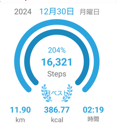 Screenshot_20241230-183657