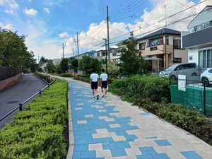見沼分水