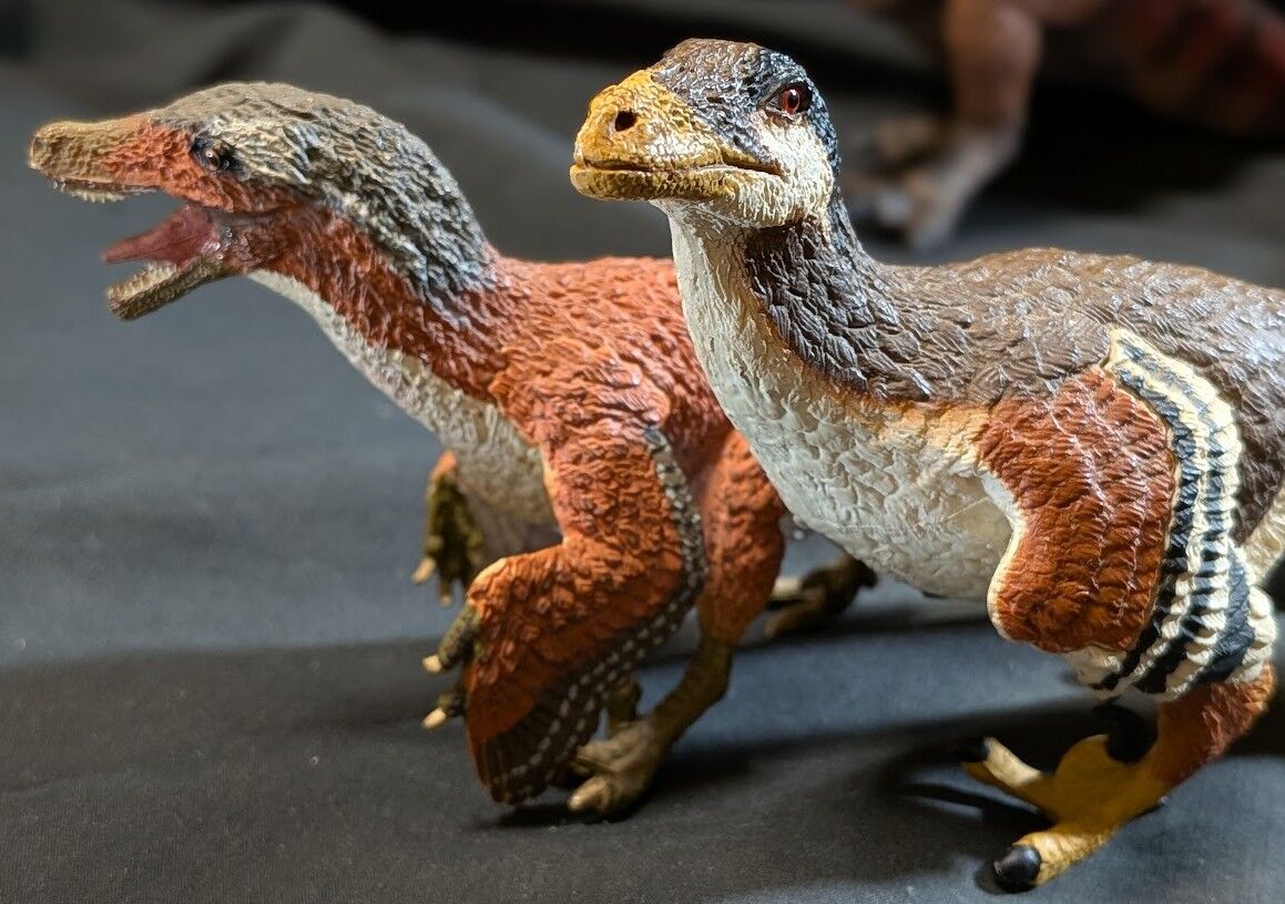 羽毛ティラノサウルス＆ヴェロキラプトル他 （SAFARI）PVC