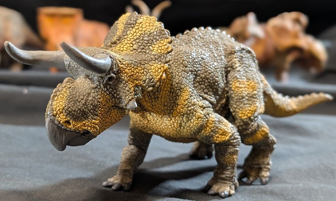 パキリノサウルス他ケラトプス類（ＣＯＬＬＥＣＴＡ）PVCフィギュア12体セット パキリノサウルス＆ナースケラトプス他 （SAFARI）PVCフィギュア
