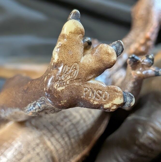 ハドロサウルス類（PNSO）ソフビフィギュア2体セット : 恐竜怪獣