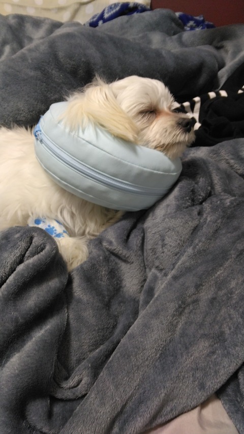 16493296326762452777212359321958