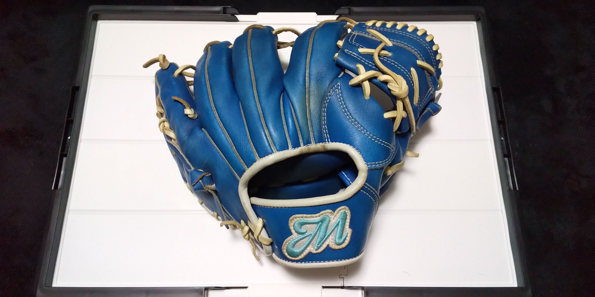 人生初のオーダーグラブ Jm D10スポーツブログ