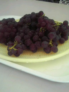 ぶどう狩り q 食べるとですよ