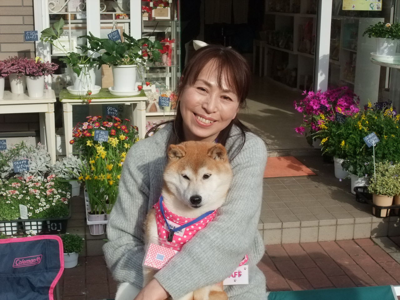 Tv撮影後のかぼすちゃんの花屋さんに 柴犬こうたの気ままダイアリ