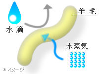 CGF_Ketsugousui