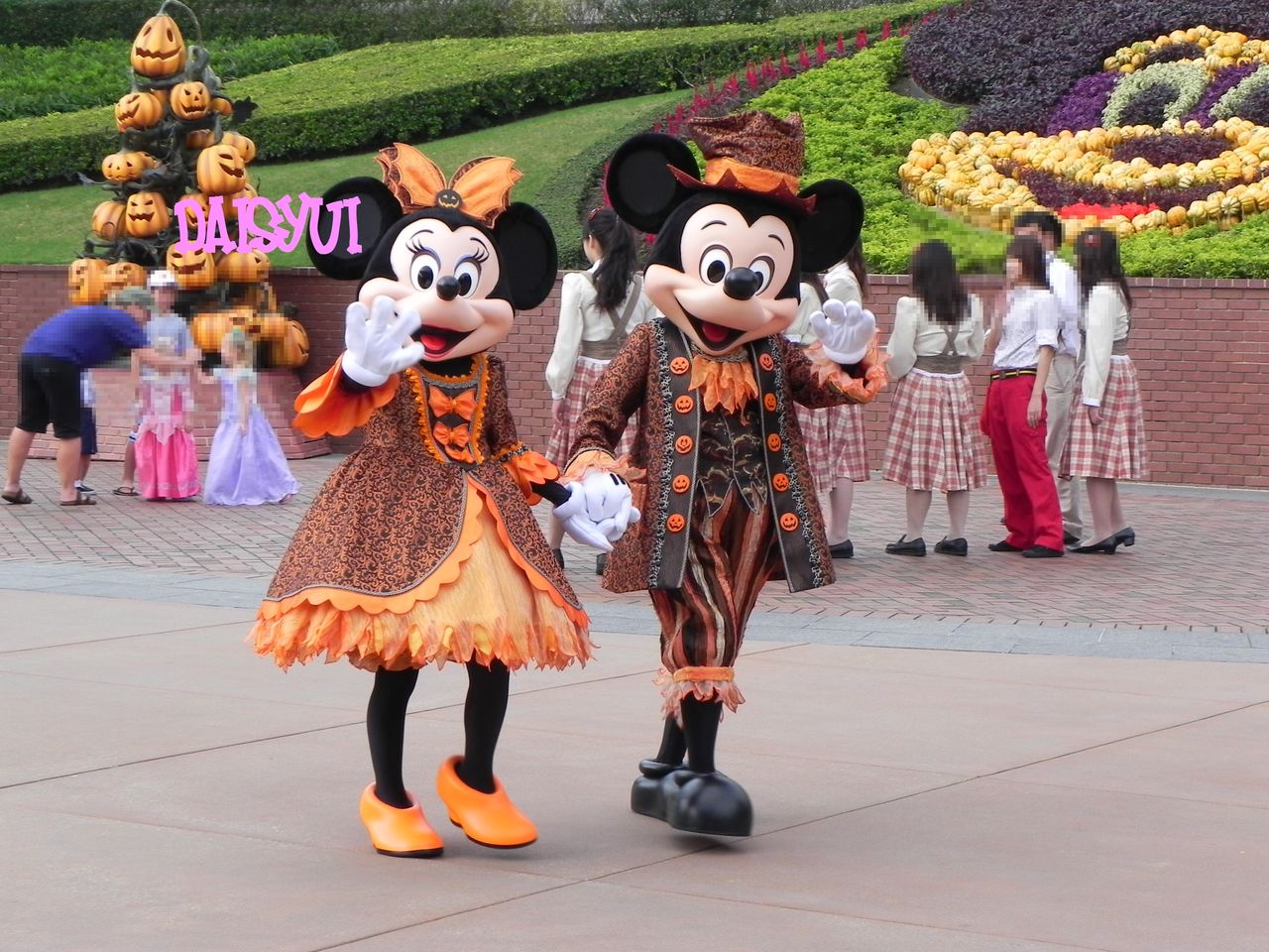 Hkdl Halloween Greeting 11 9 26 29 Daisyui Airline