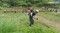 草刈りテクニック競う「オリンピック」　岡山・美作で景観保全目指す