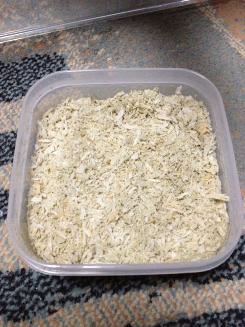 ガットローディング 新 大仏伝