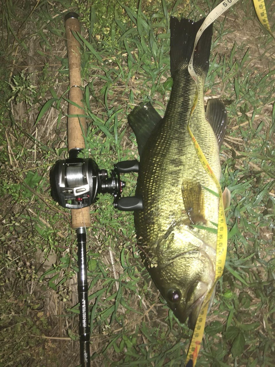 タトゥーラ103h Tw ダイワ フリーク