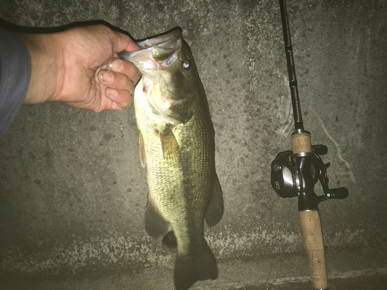 タトゥーラ103h Tw ダイワ フリーク