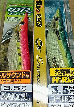 エギング取材準備 今週のみや