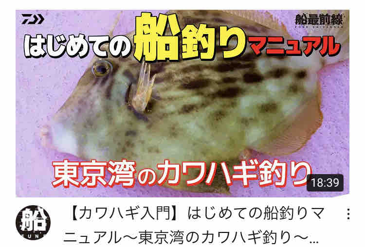 Tsurihackさんカワハギ入門者向け動画 宮澤幸則 Tsurihackさんカワハギ入門者向け動画 宮澤幸則