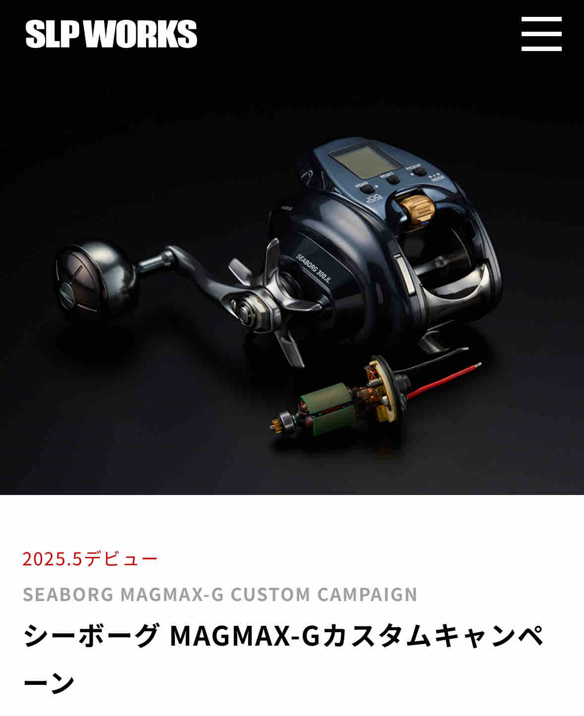ダイワ シーボーグG300J SLP+オーバーホール済 ダイワ
