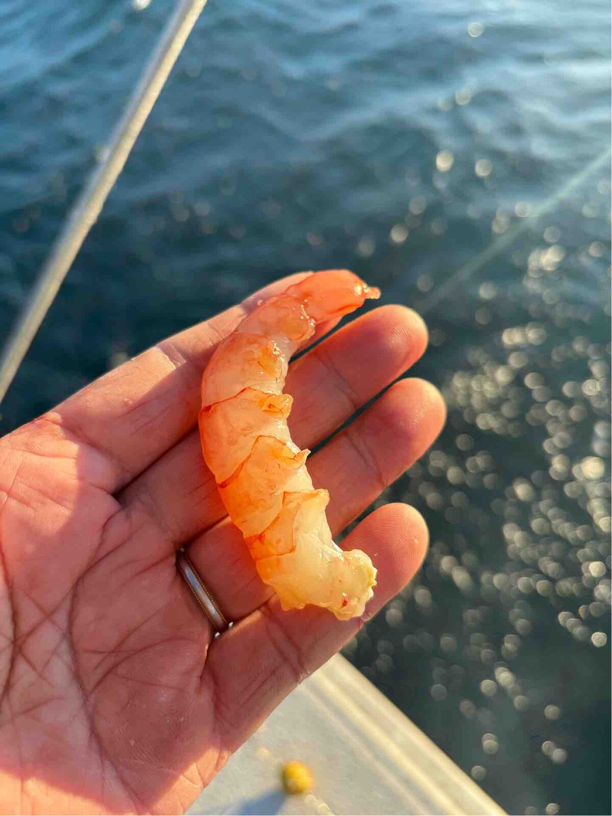 386301BB-3A7C-4DBA-9FA3-D732F624E577