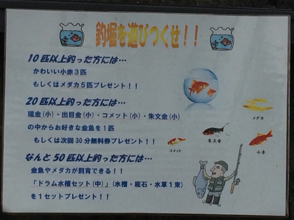 またまた金魚坂さんへ 今週のみや またまた金魚坂さんへ 今週のみや