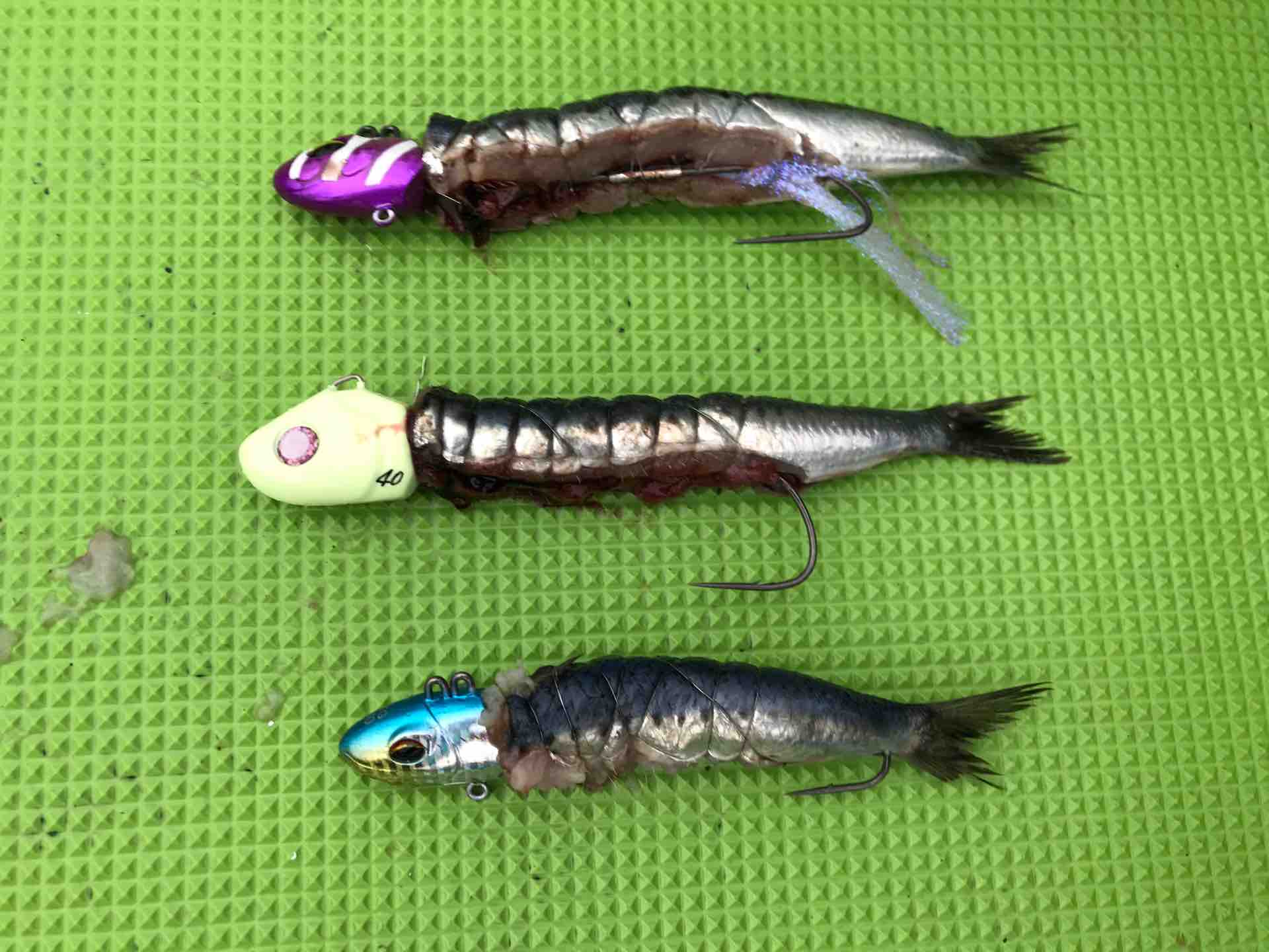 東京湾テンヤタチウオ 今週のみや