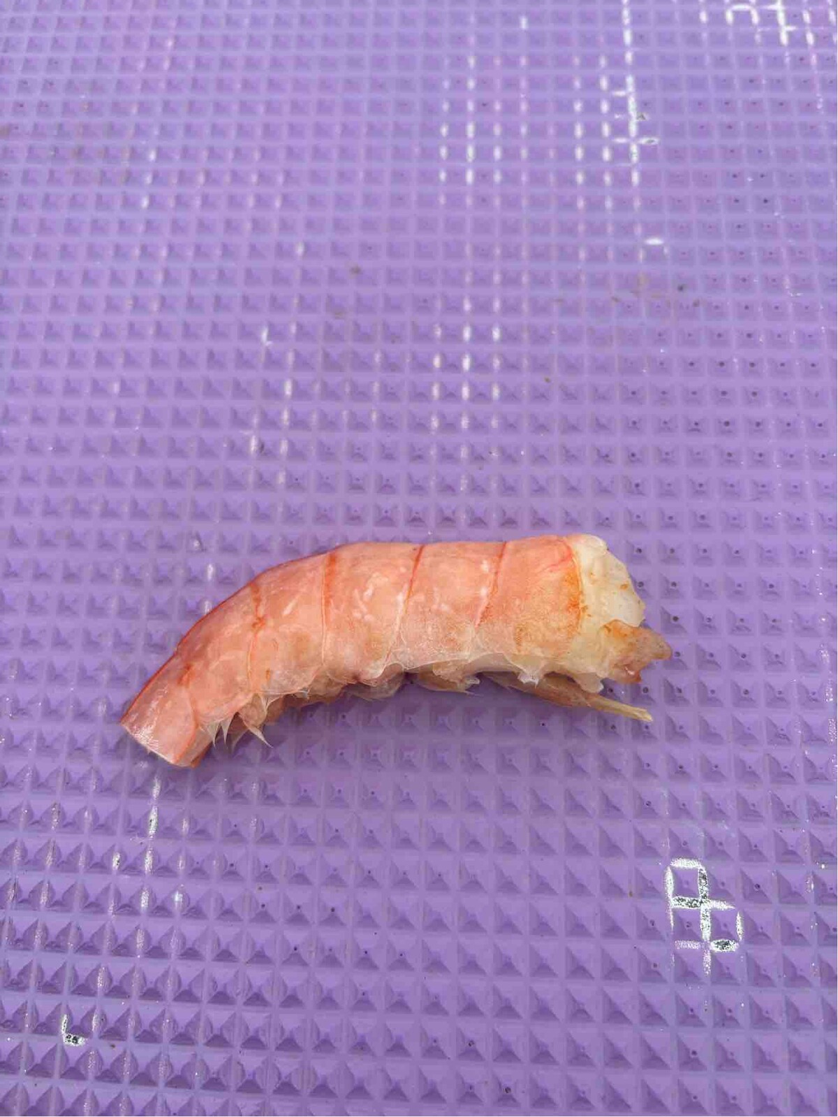 59E85CED-A989-42ED-9F25-B04E950728A7